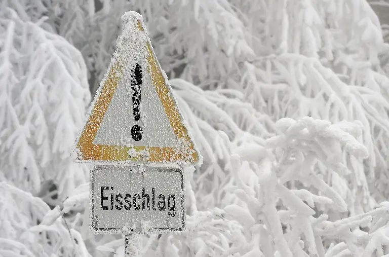 2uqc5505-jpg7160280279646521413