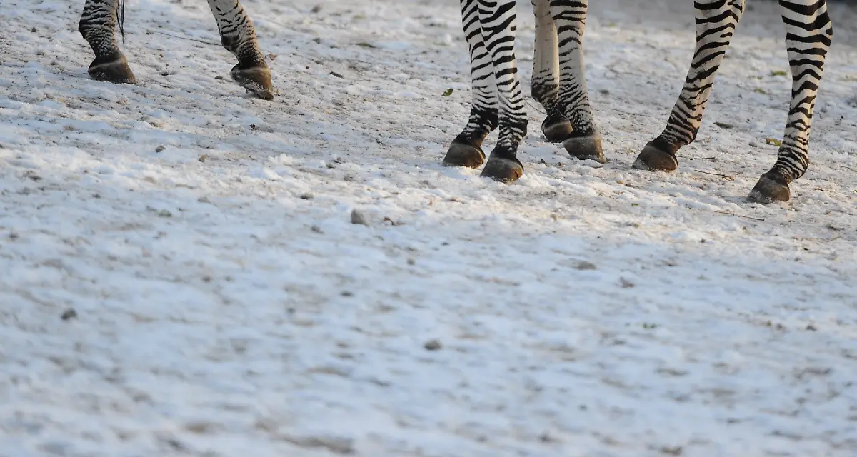 2uqd3210-jpg4200615189808785547