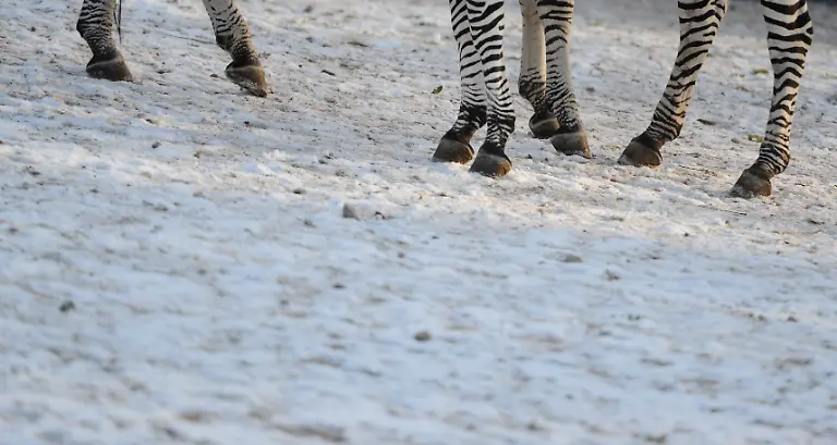 2uqd3210-jpg4200615189808785547