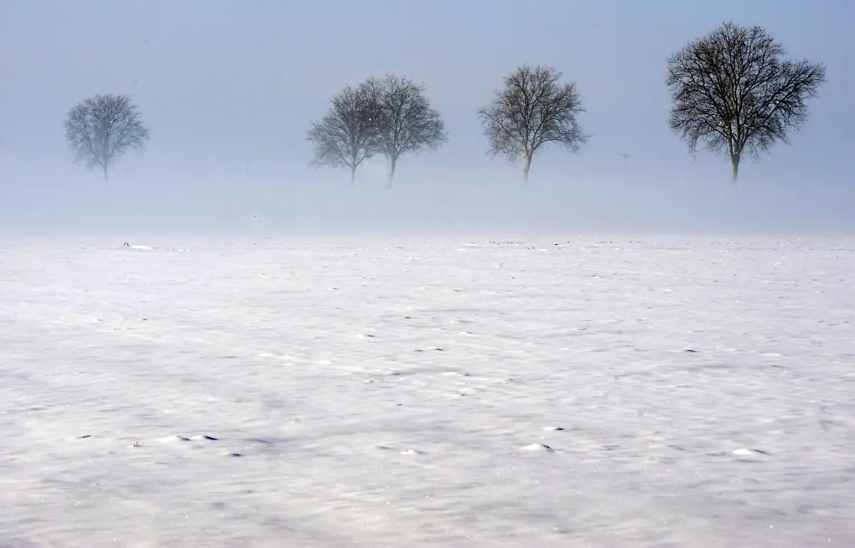 2uqd5835-jpg5572393980711923217