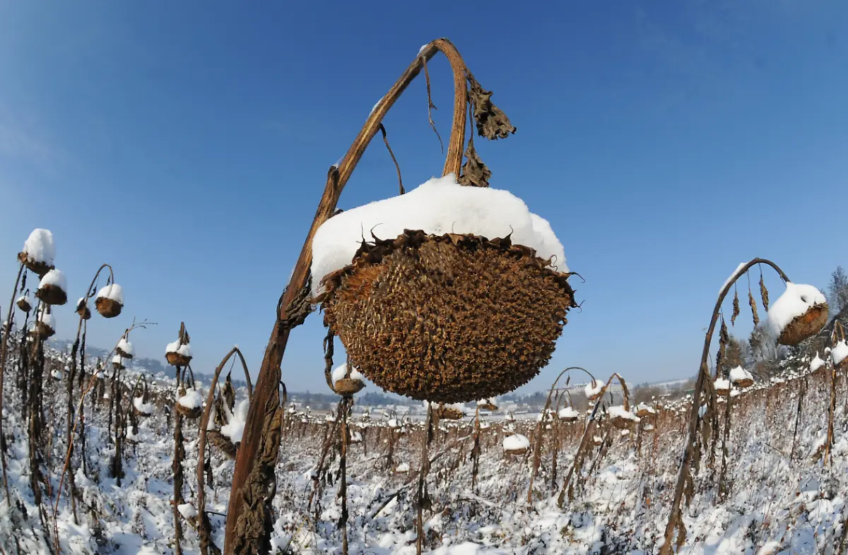 2uqd5910-jpg1647752990195341411