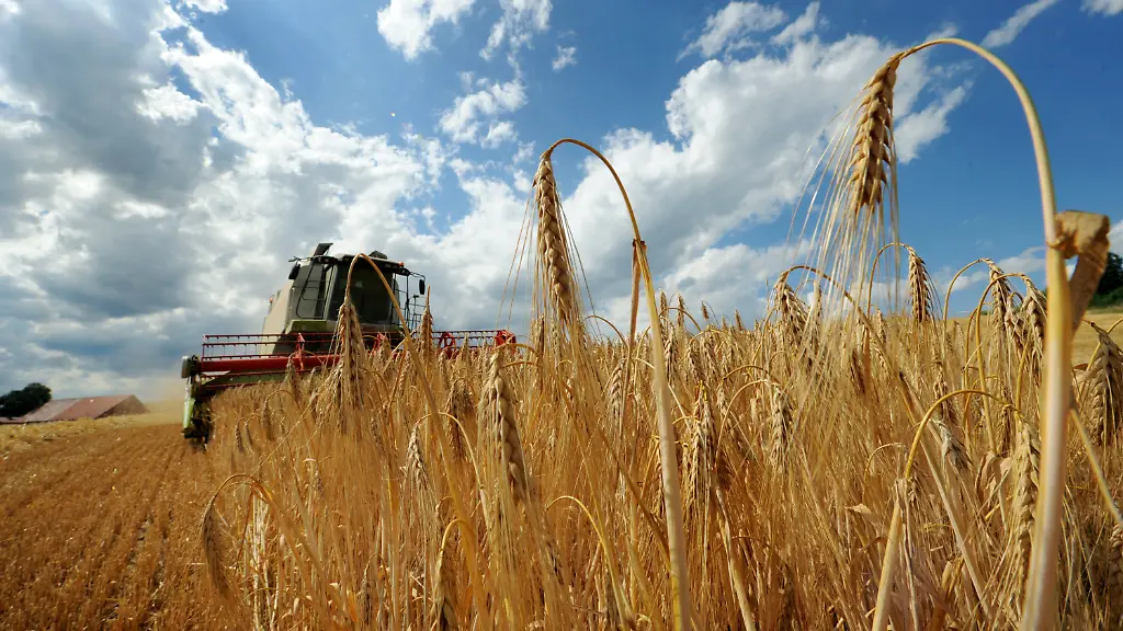 2udq2258-jpg1058378165534216573