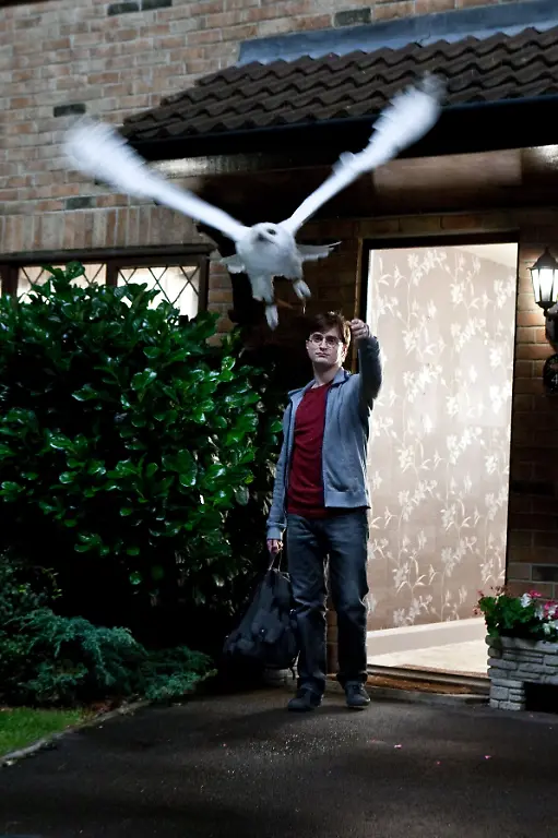 Film-Harry-Potter-3-D-NYET187-jpg3893781544591908449
