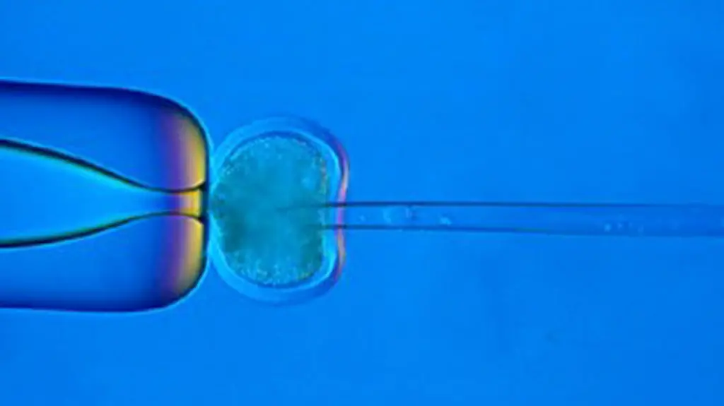 271101UFO300-271101UFO300-jpg2360935535905939699