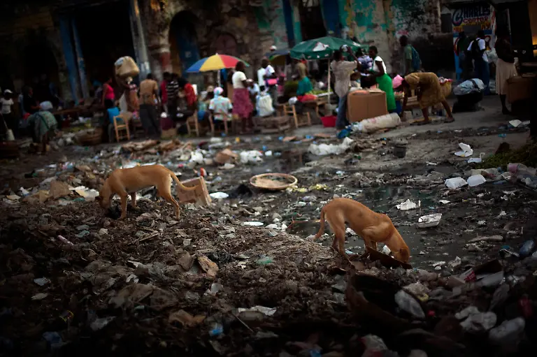 Haiti-Disease-Outbreak-JEM103-jpg7327805223286222606