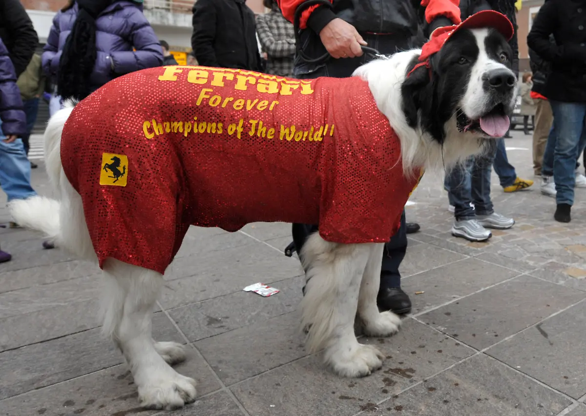 Italy-Emirates-F1-GP-Auto-Racing-XMV114-jpg3181767700371724361