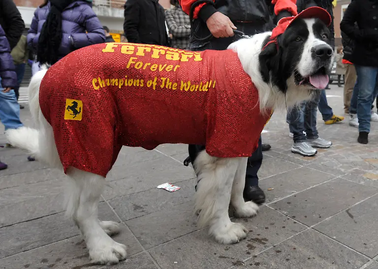 Italy-Emirates-F1-GP-Auto-Racing-XMV114-jpg3181767700371724361