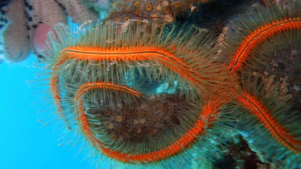 2u580453-jpg6848725974346143309