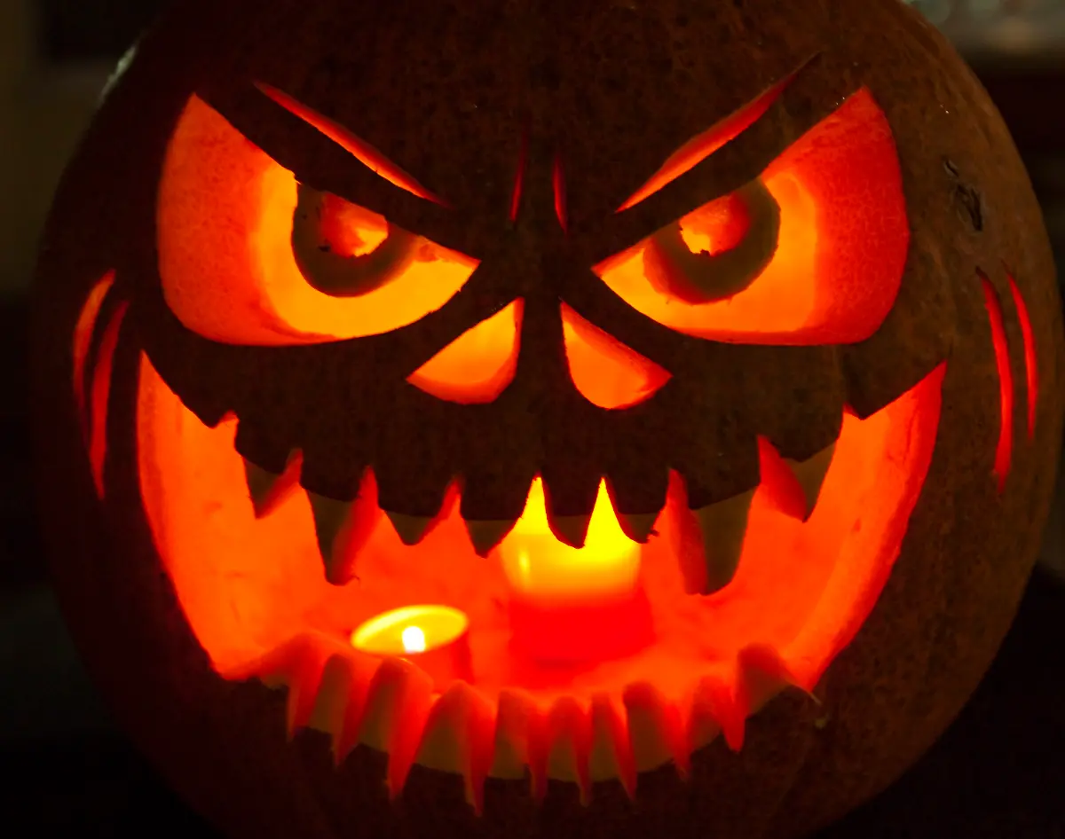 2u291926-jpg5858039093987434936