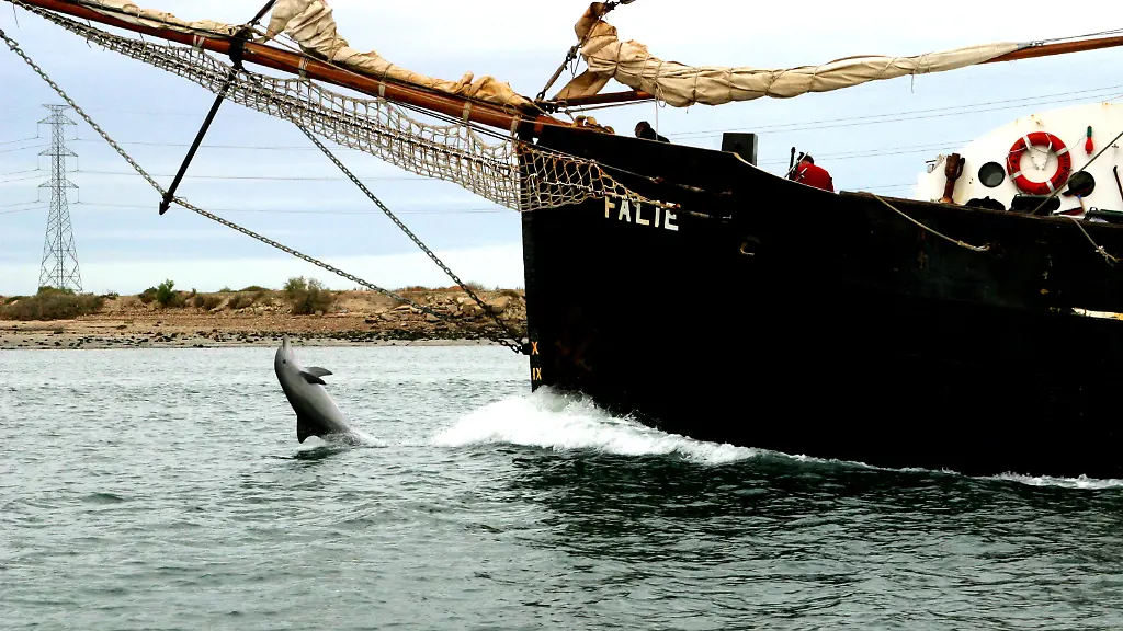 2u301123-jpg3474745244301093667