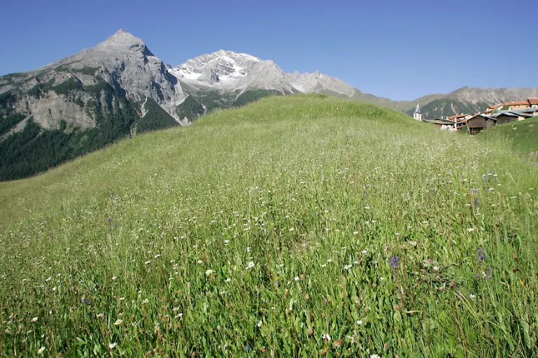 schweiz-natur