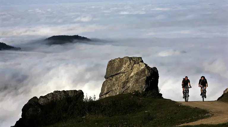 2tr22928-jpg5998975740802937990