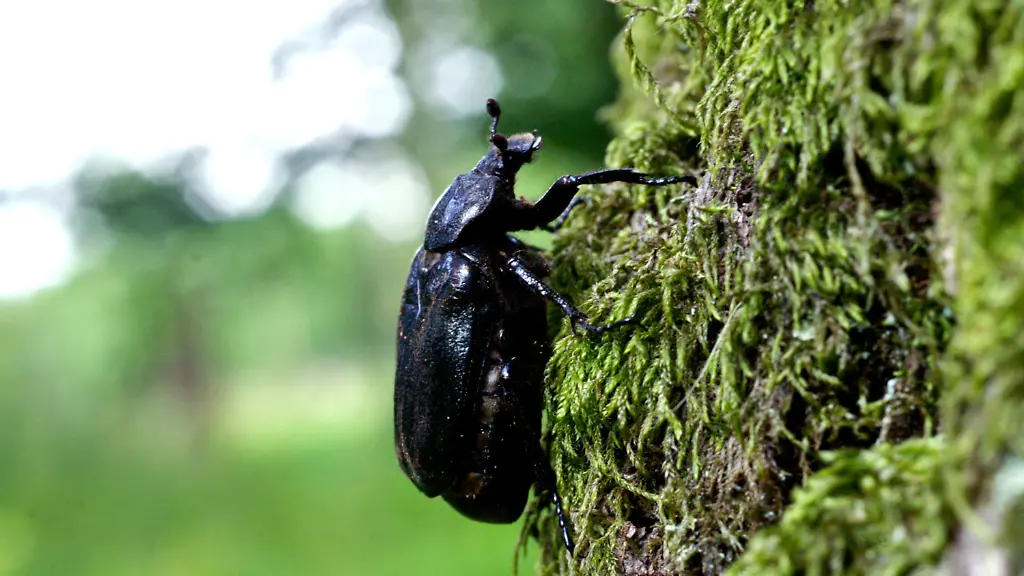 2tqc5815-jpg1816633786150195434