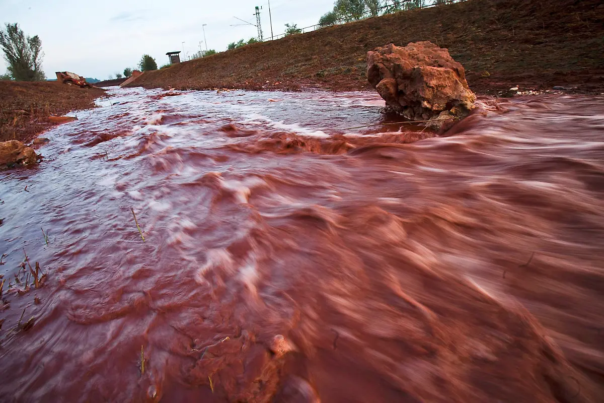 2toy2903-jpg5797496327462920902