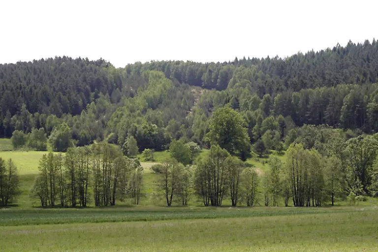Goerssdorf-neu