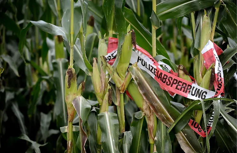 260910ESS113-260910ESS113-jpg547738164980914913