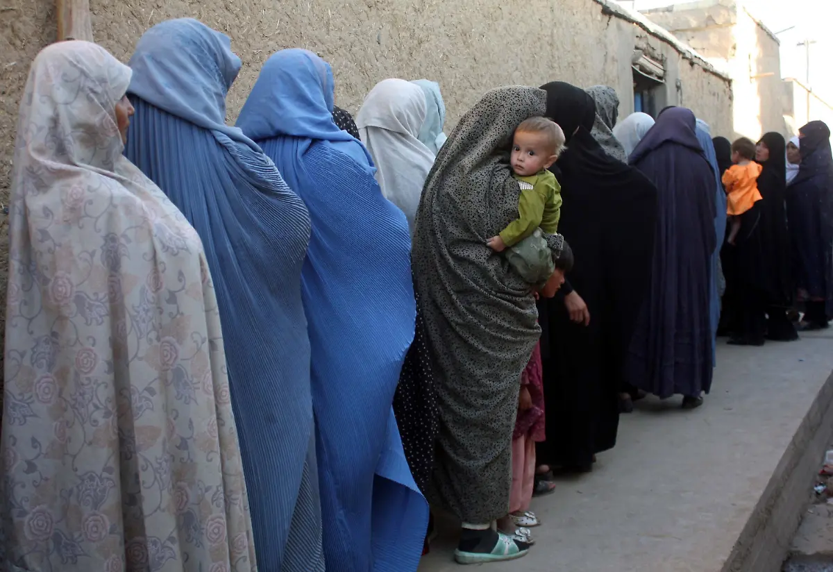 2td55613-jpg6476390903089774394