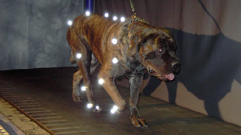 2tdh0305-jpg4818406936644715675