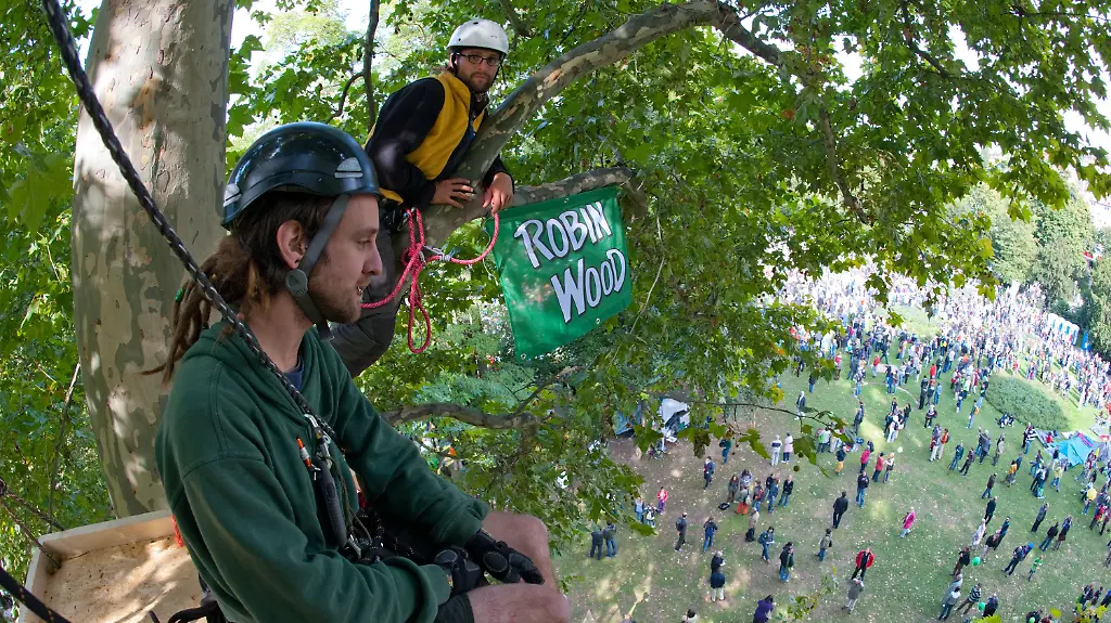 2td65634-jpg7267054780072414047