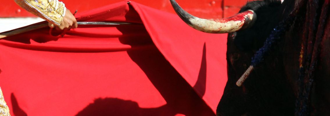 Moody's nimmt den spanischen Stier auf die Hörner und droht mit einer Herabstufung der Kreditwürdigkeit der viertstärksten Volkswirtschaft der Welt.