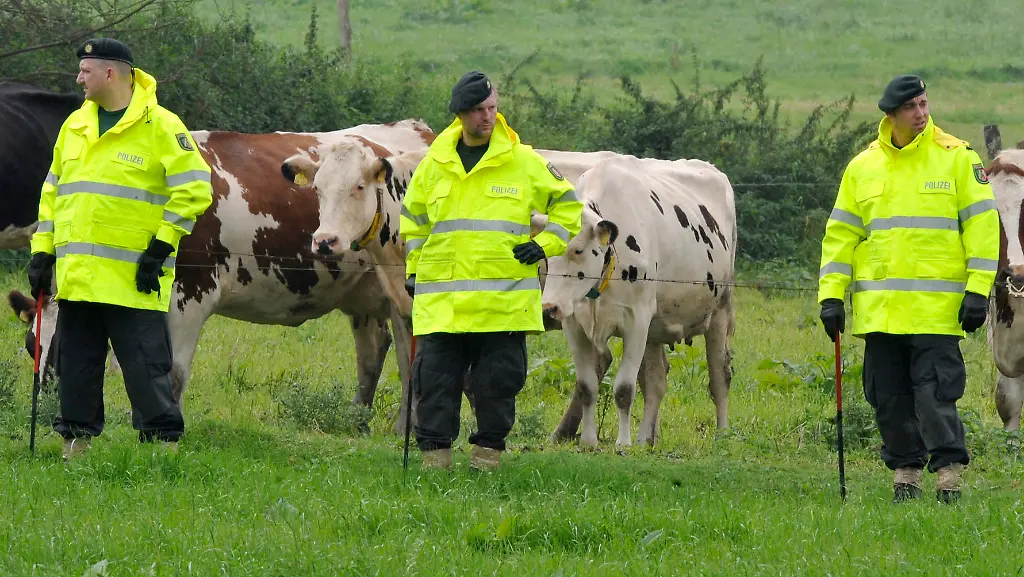 2t711326-jpg6952367316137427821