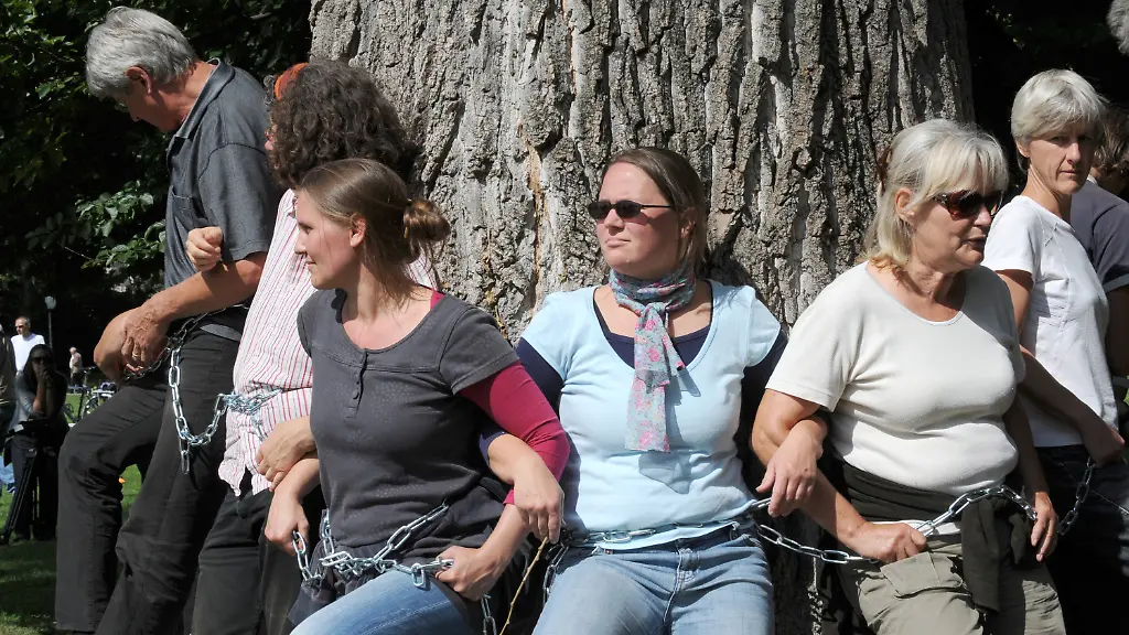 2t6t0029-jpg5724516183361837303