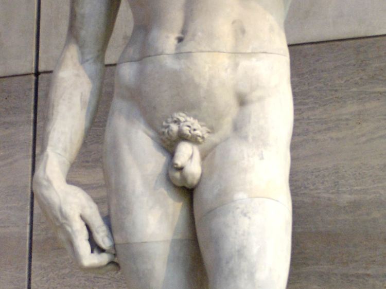 Penis.jpg