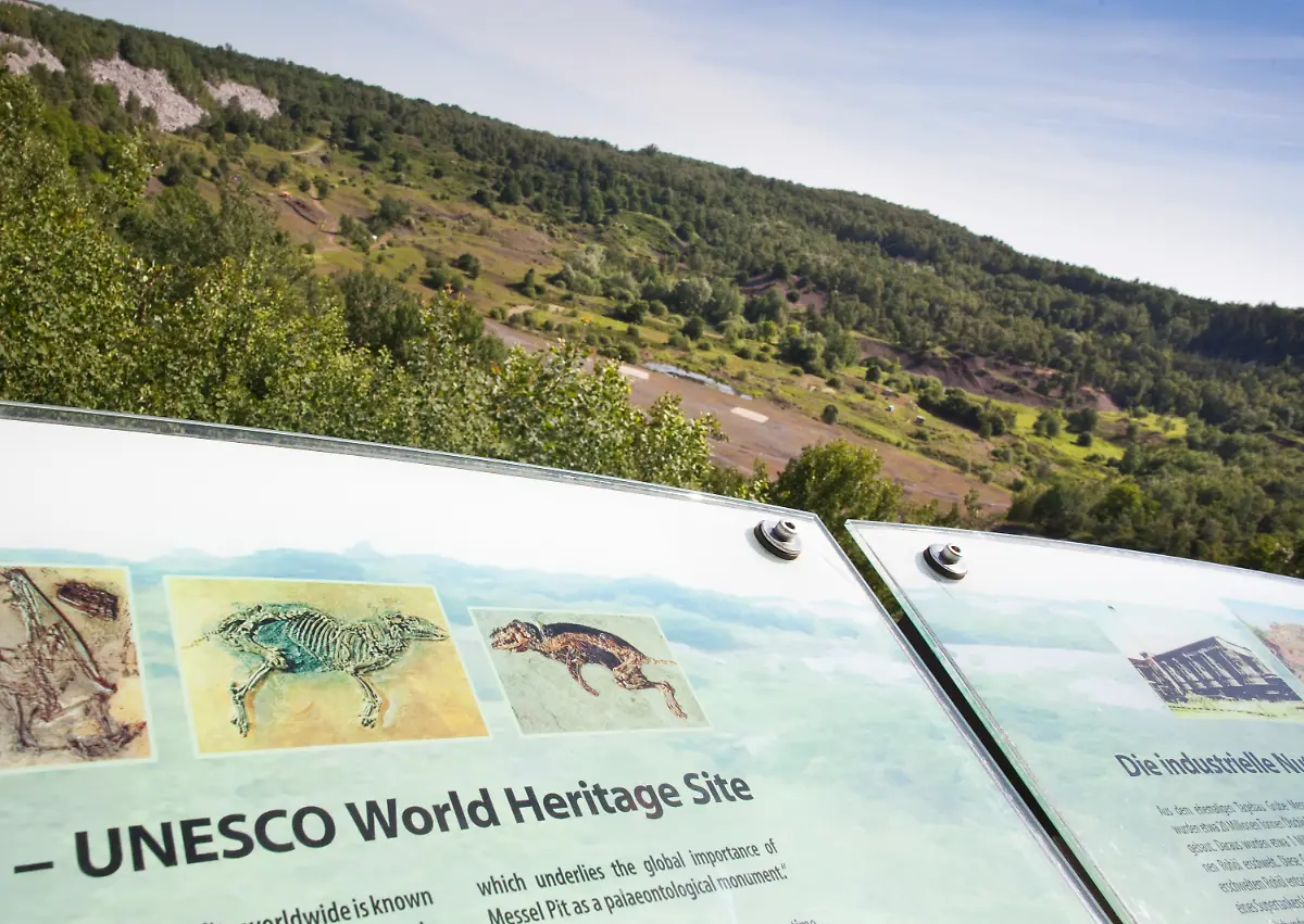 2sut0055-jpg5688411813159893762