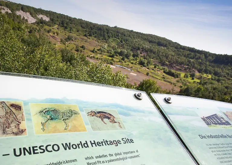 2sut0055-jpg5688411813159893762