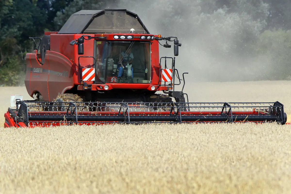 2swz1757-jpg2214217136708622299