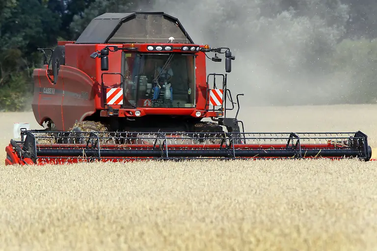 2swz1757-jpg2214217136708622299