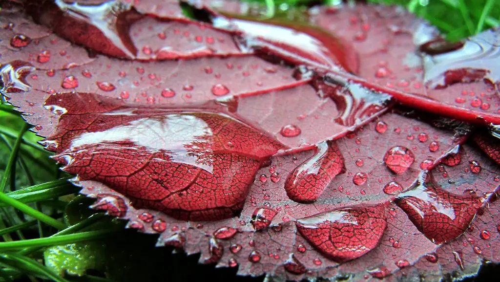 2srp0654-jpg2782458796098131773