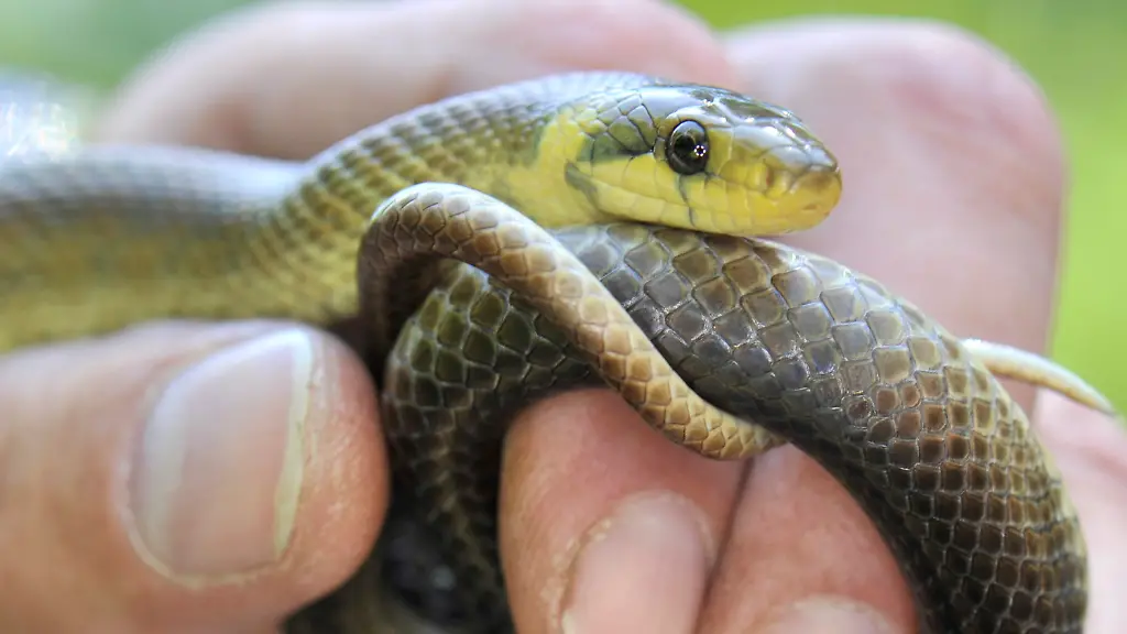 2srh0847-jpg3535593167511640666