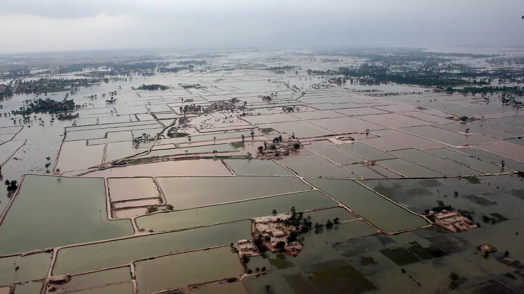 2sqv2030-jpg5117901224027677501