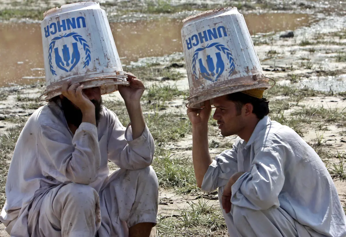 2sns3805-jpg4613243301396410293