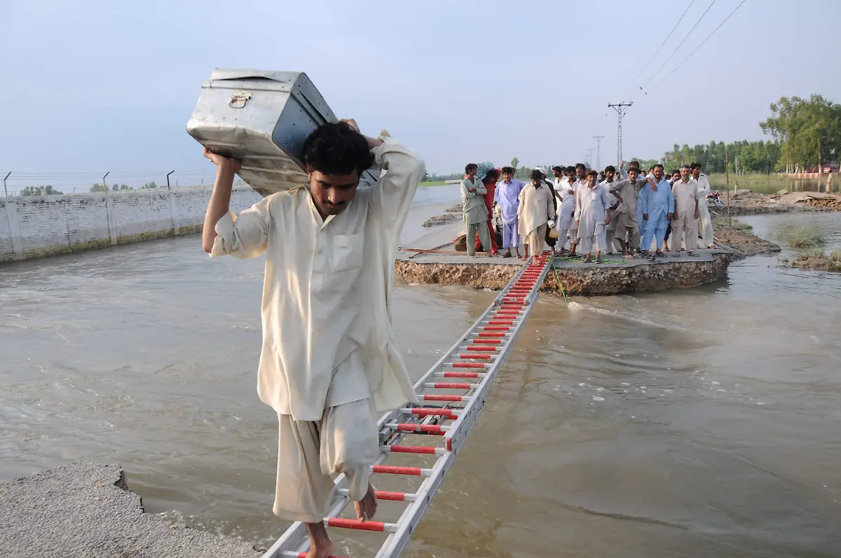 2snv0503-jpg7541226370472156389