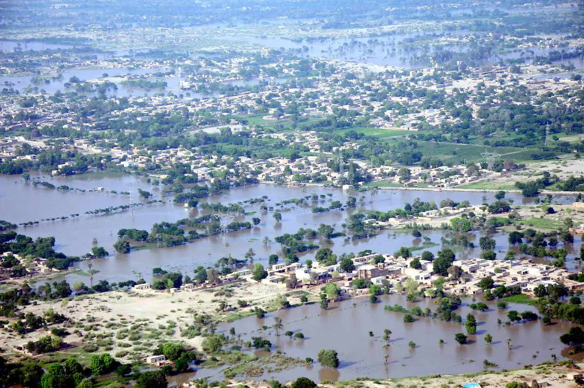 2snv4558-jpg7476734374616576920