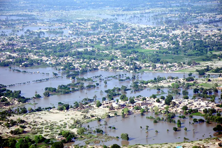 2snv4558-jpg7476734374616576920