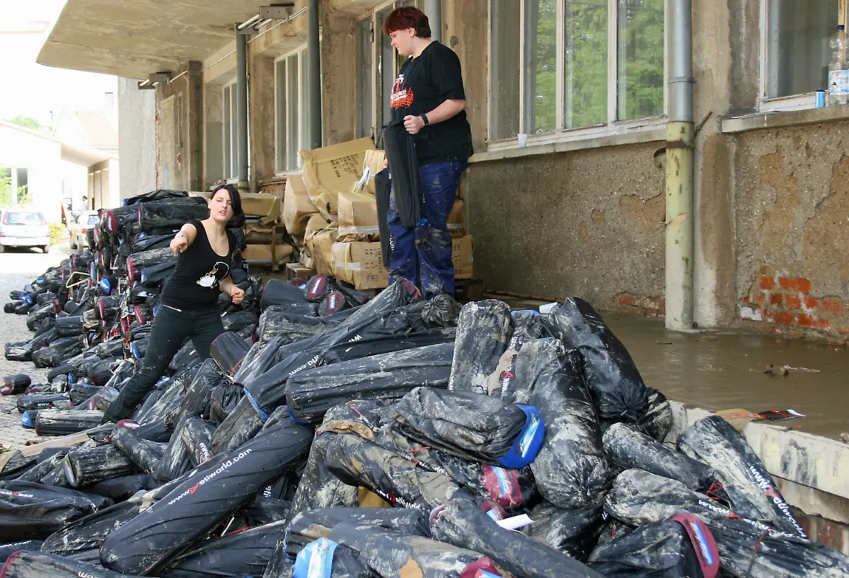 2snp4246-jpg1221159047788195583