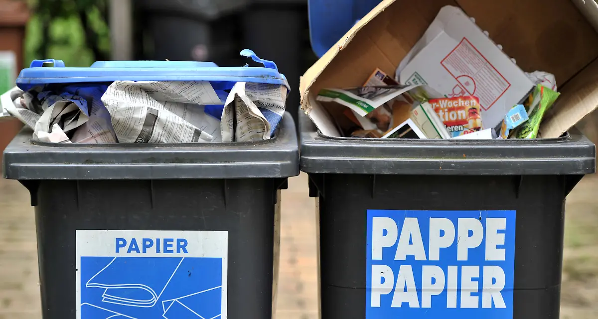 2sn21942-jpg916895931793086940