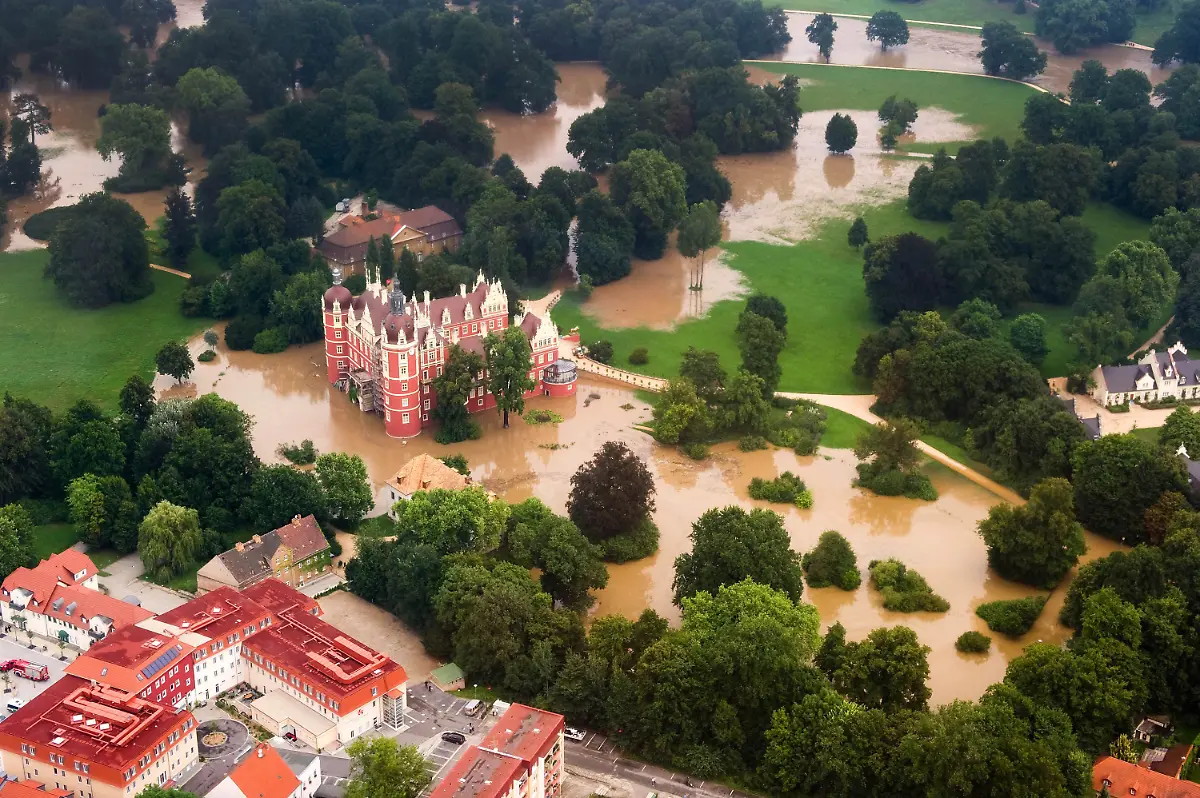 2smc1951-jpg7099828712044868789