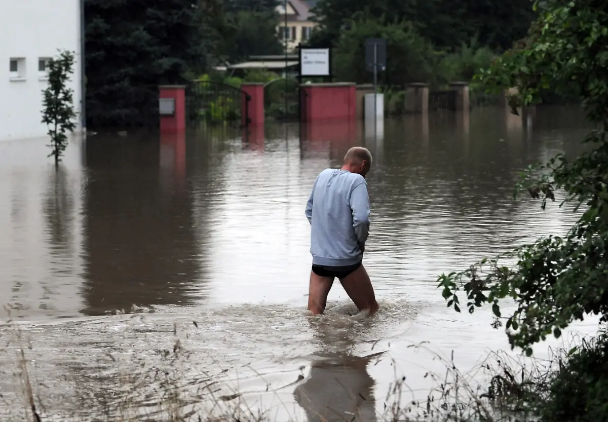 2sl93509-jpg5258445825894246194