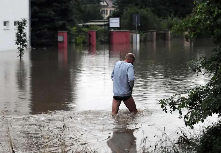 2sl93509-jpg5258445825894246194