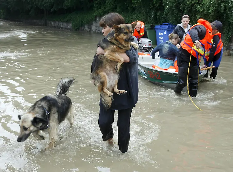 2sln2015-jpg7699925534600556230