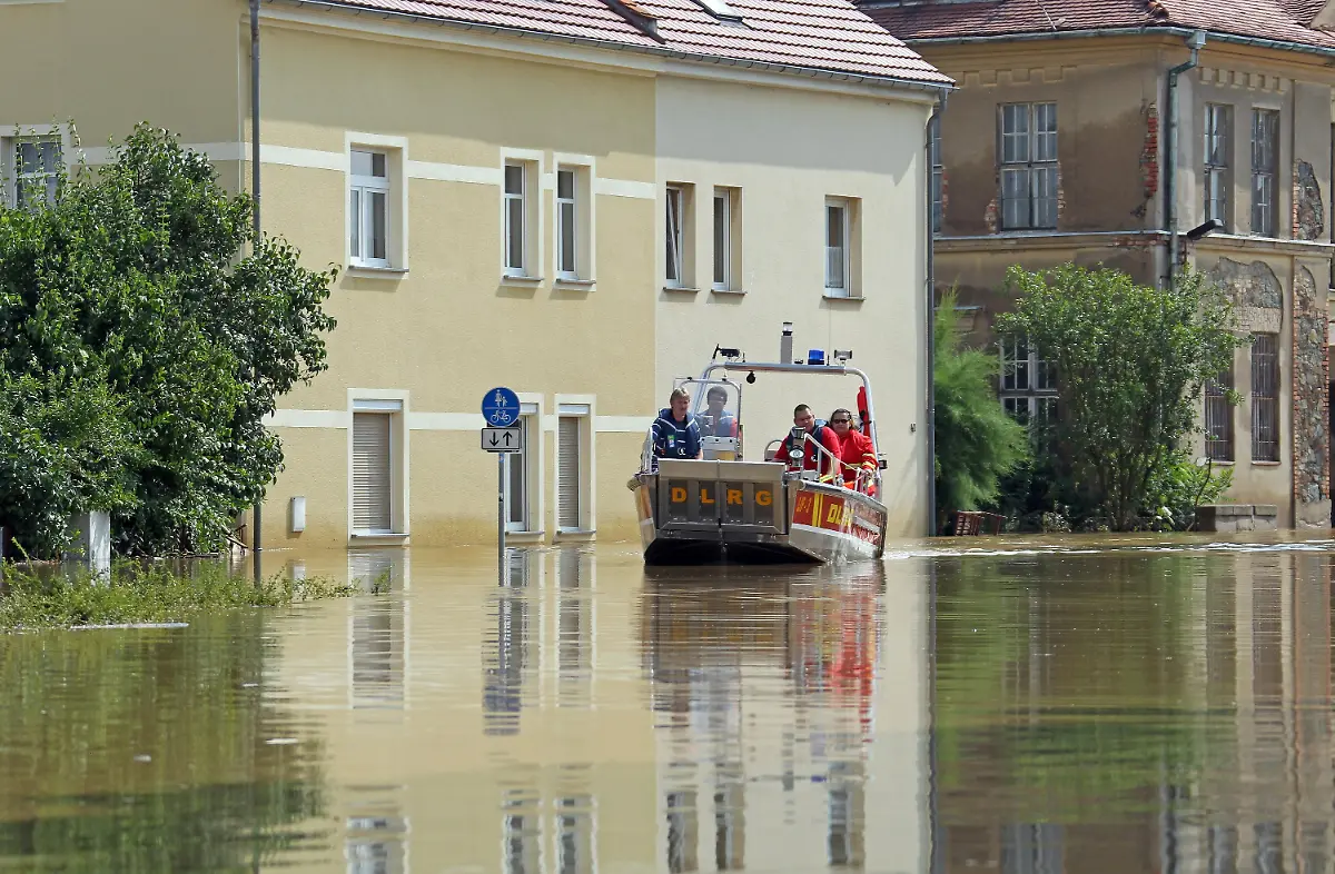 2slp1433-jpg8684569040972215680