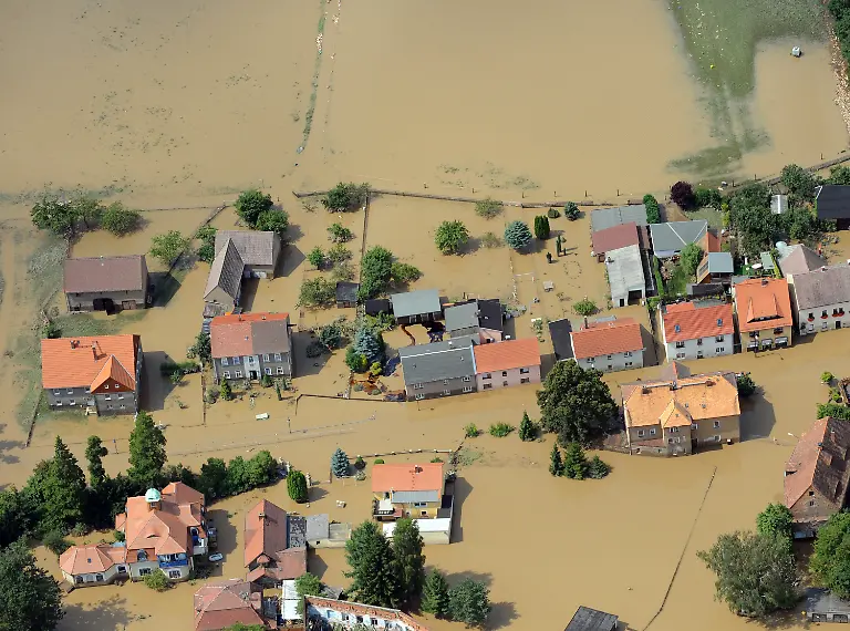 2slr1207-jpg1768102247211154774