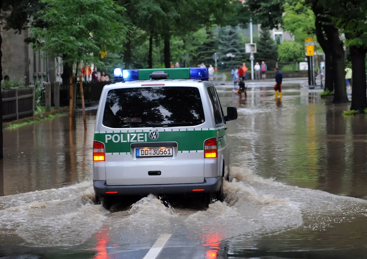 2sl93613-jpg4508822652145674824