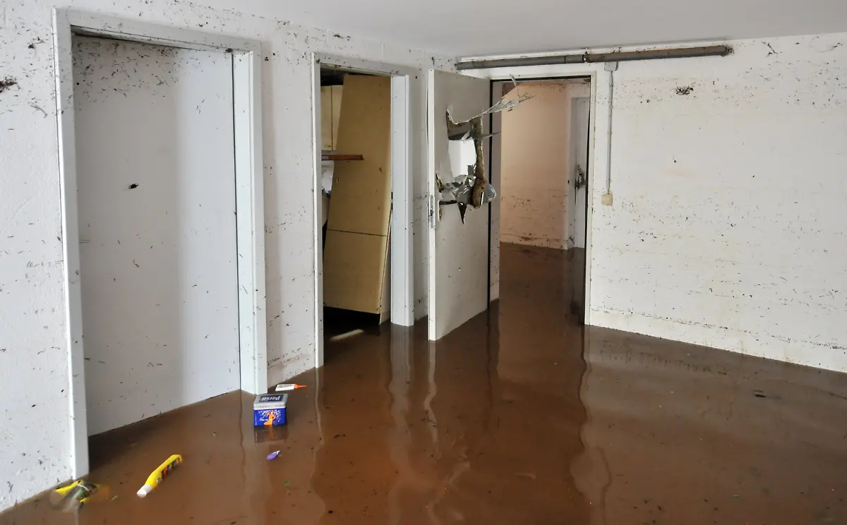 2sl52644-jpg6633057614645687676