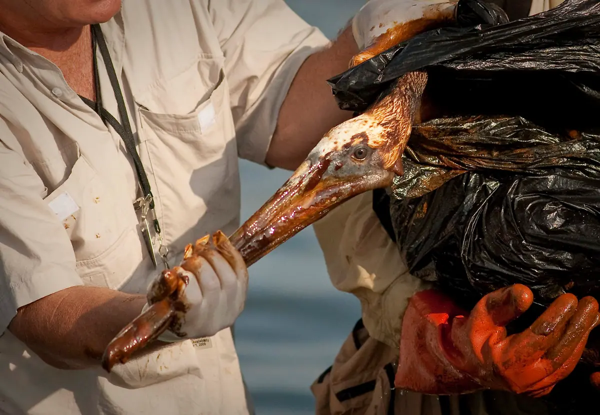 2sj33524-jpg3761867062127116802