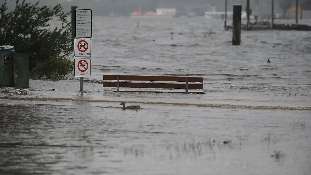 2ske2205-jpg7092365694308196281